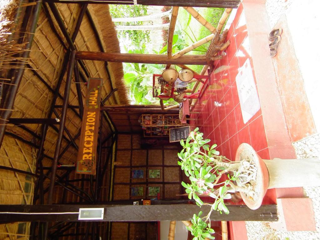 Cooper'S Beach Resort Lucbuan Luaran gambar